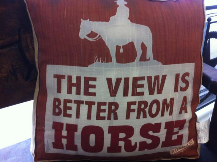 The View Is Better from a Horse - Buy this pillow for real cowboys!