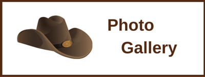 Photo Gallery 